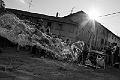 Carpe bolla_15